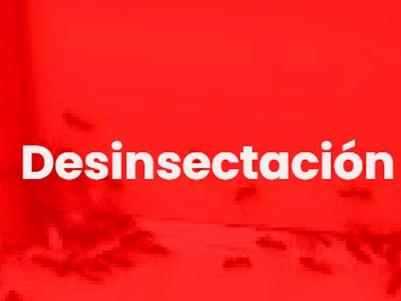 Fumigación Insectos Chile