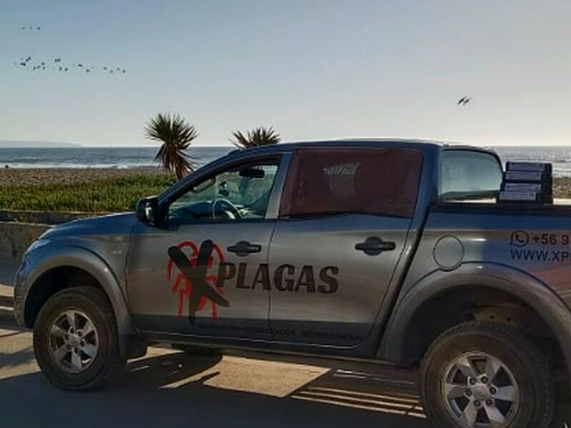 Control Plagas chile