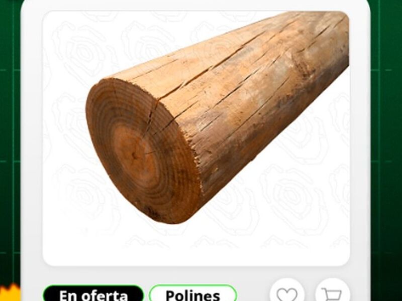 Polines Chile.