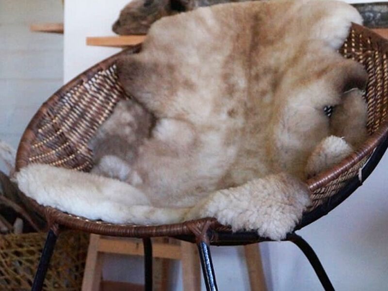 Silla Nido Chile