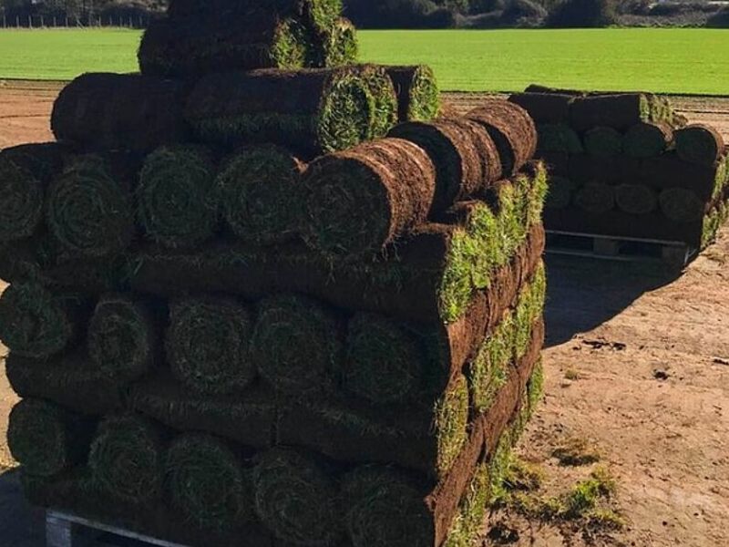 Mantenimiento Áreas Verdes Temuco