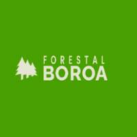 Forestal Boroa