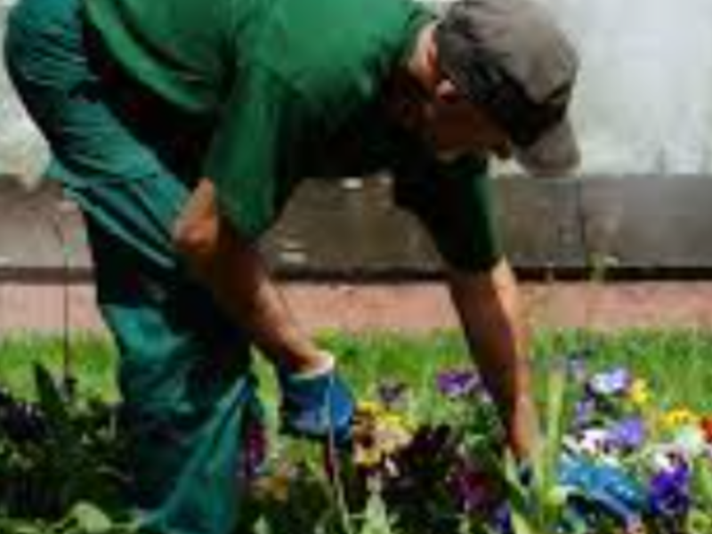 SERVICIO JARDINERÍA CHILE