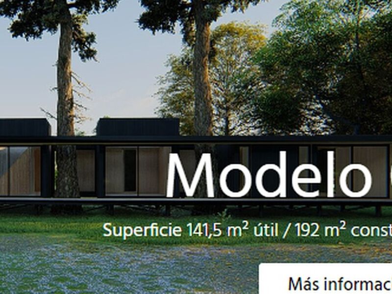 MODELO 01 CHILE
