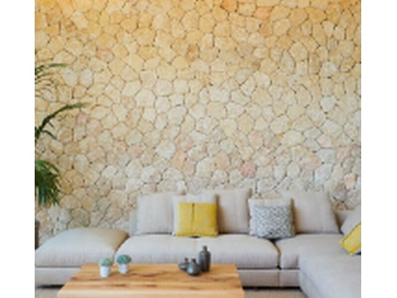 Pared natural
