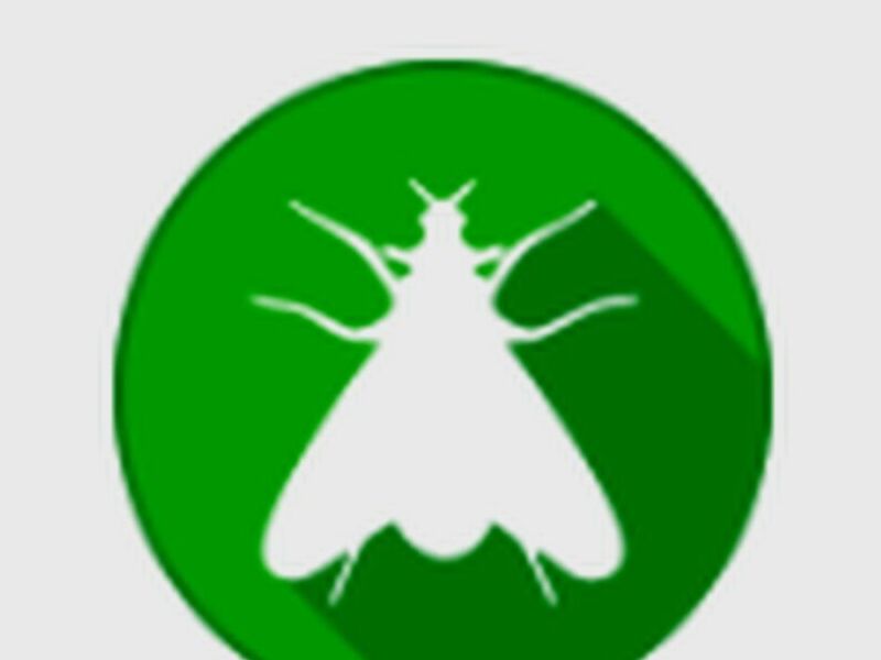 Control Insectos chile