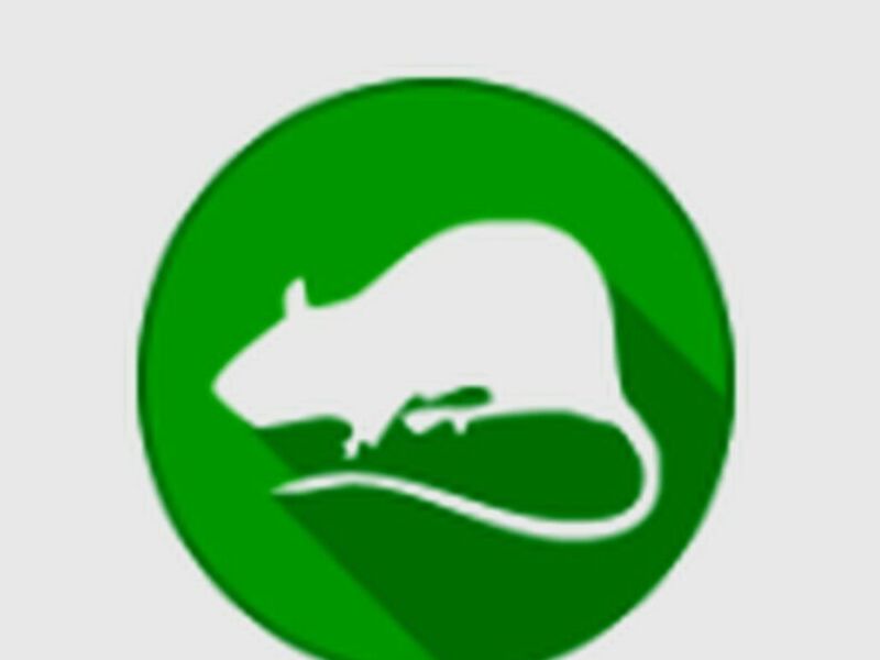 Desratización  Chile