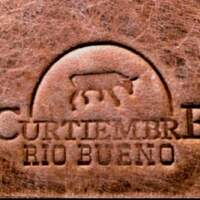 Curtiembre Río Bueno