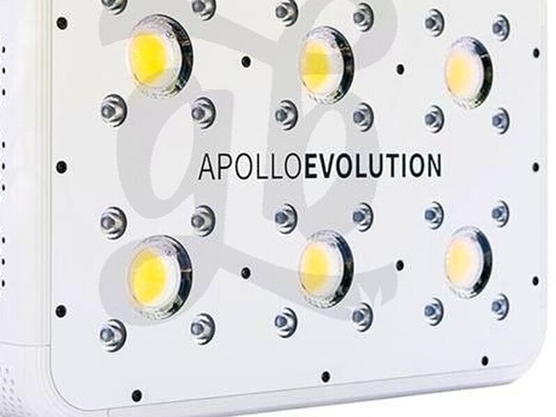 Apollo Evolution LED COB