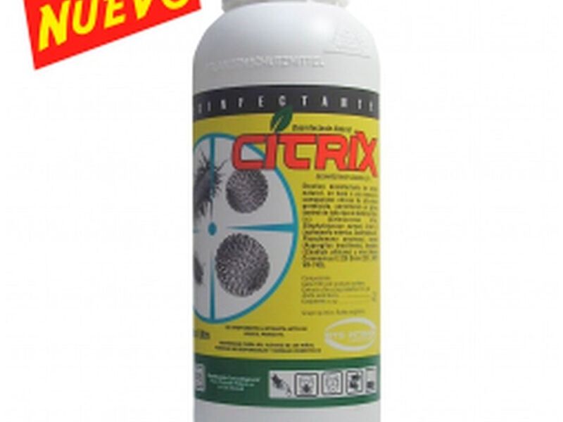 CITRIX CHILE