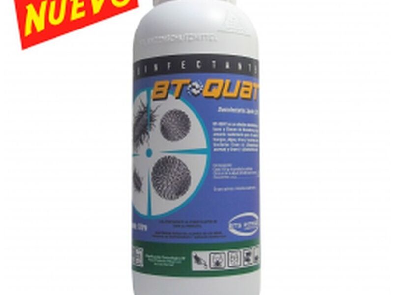 BT-Quat CHILE