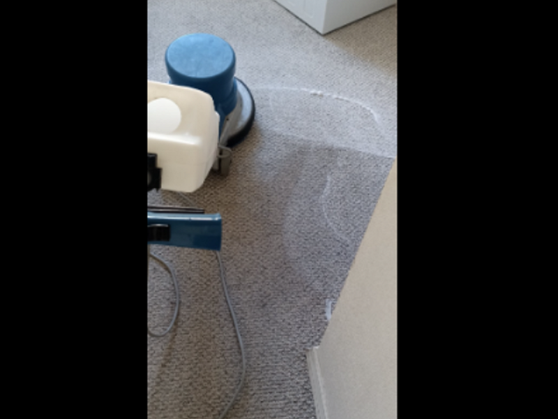 Limpieza alfombra oficina