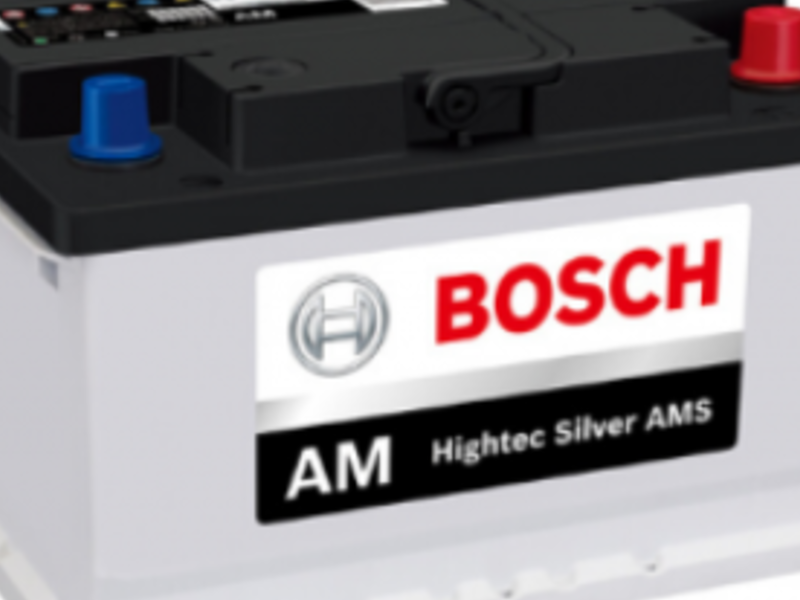 BOSCH AM SANTIAGO