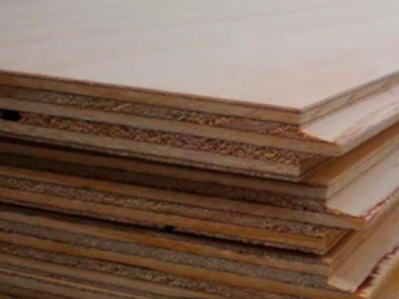 Radiata PINE AD chile