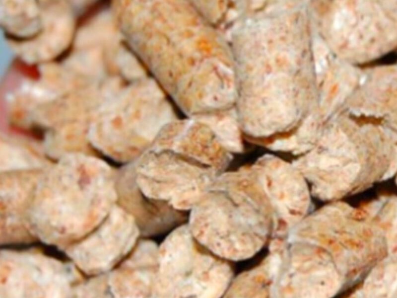 Radiata pine premium chile