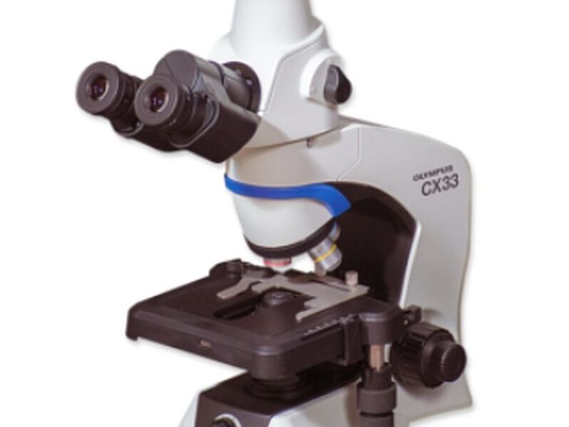 Microscopio Rendimiento Modelo CX33 Chile