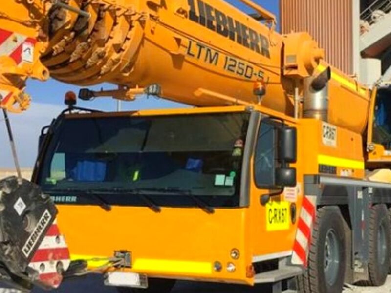 GRÚA MOVIL LIEBHERR 250 TON Chile