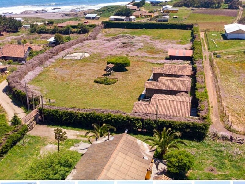 Propiedad Cardonal Curanipe Sur Chile 