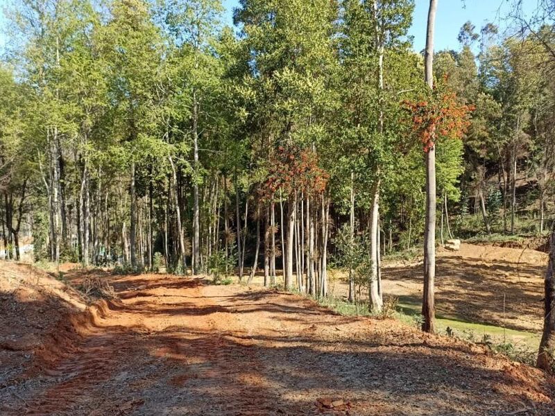 Terreno venta Francisco Biobio