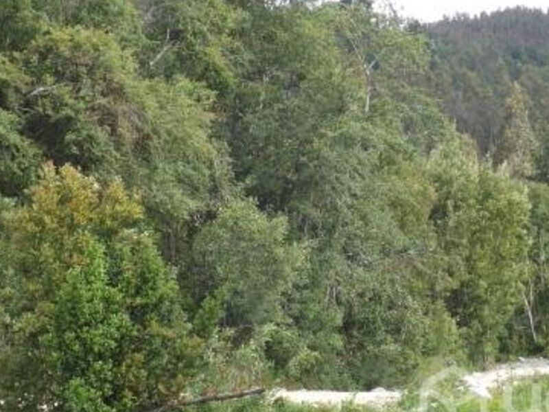 Terreno venta Nongue Biobio