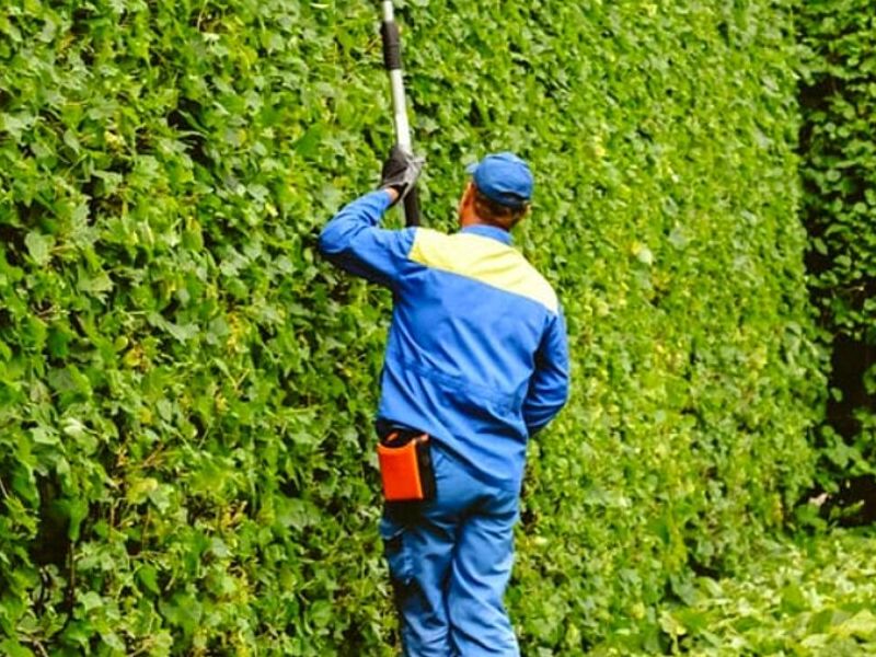 Mantención Áreas Verdes Copiapó