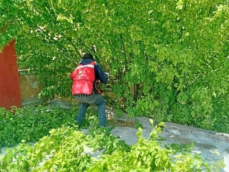 Mantención Áreas Verdes Coquimbo