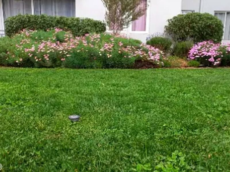 Mantención Áreas Verdes Coquimbo