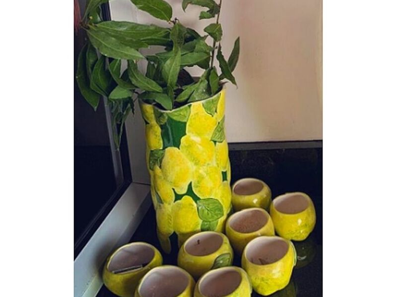 Vaso Chile