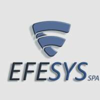 EFESYS WEB