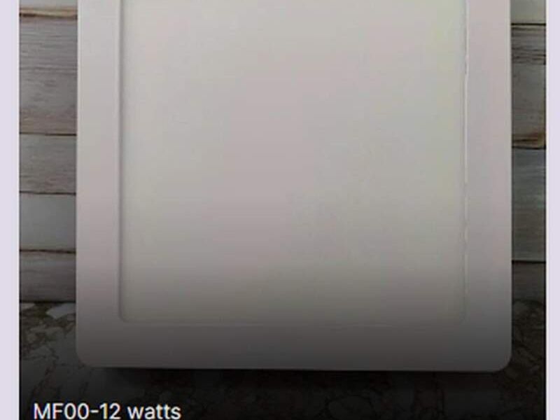 MF00-12 watts chile