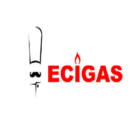 Ecigas Ltda