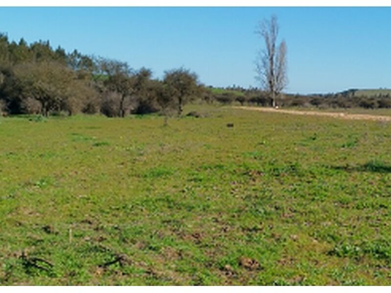 Hacienda Chile
