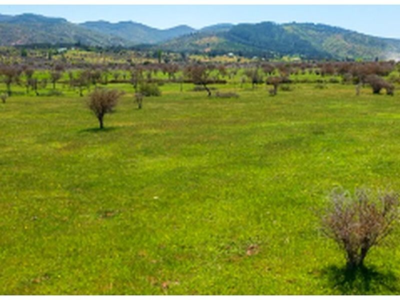 Parcela San Javier Chile