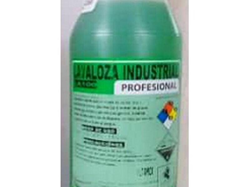 Lavaloza industrial Santiago