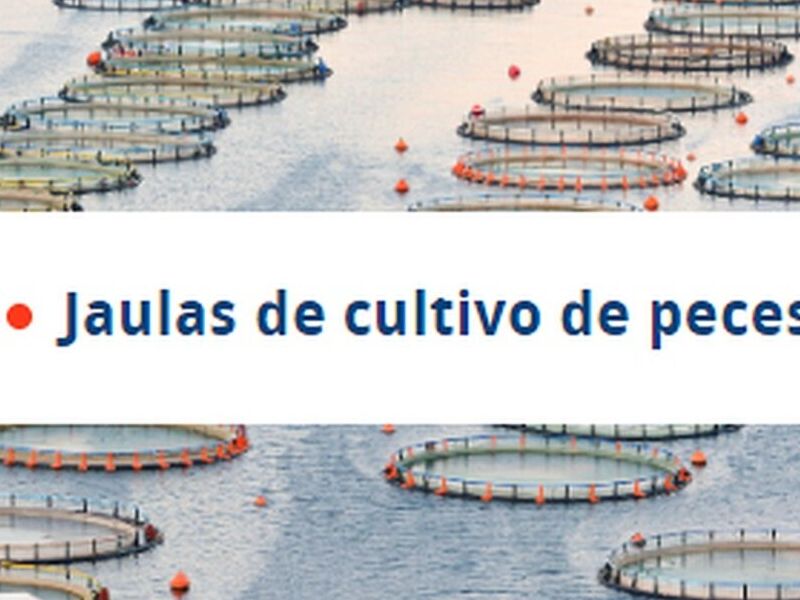 Jaulas Cultivo Peces Chile