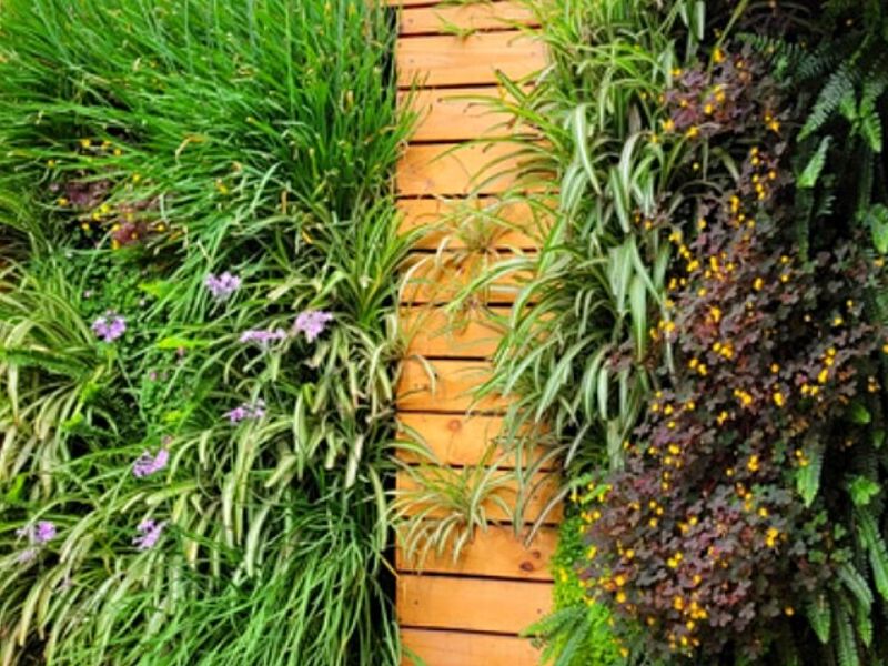 Jardines Verticales Iquique