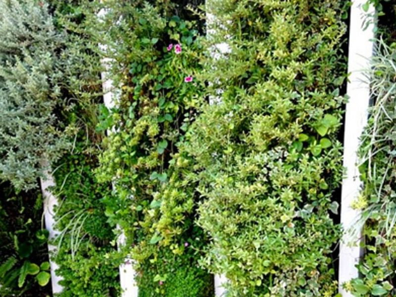 Jardines Verticales Arica