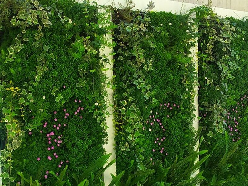 Jardines Verticales Calama