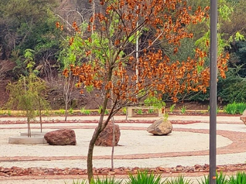 Diseño Paisajismo Calama