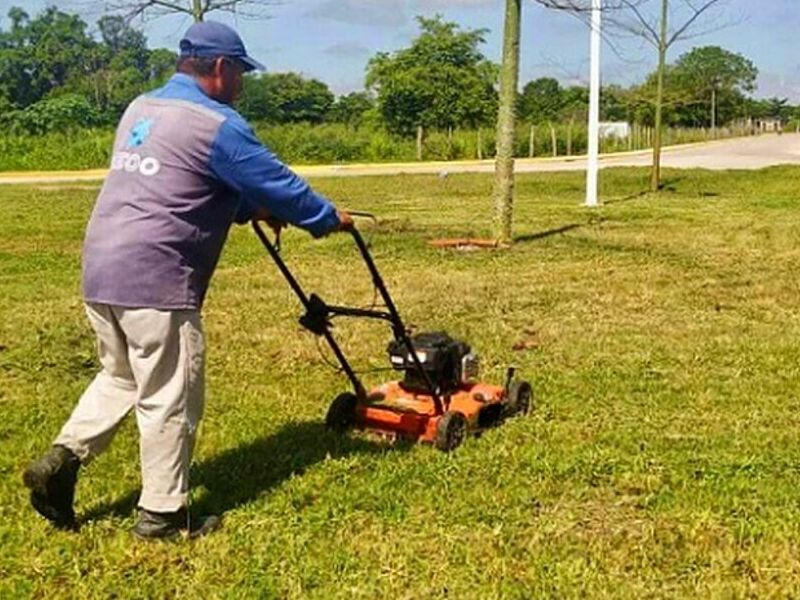 Mantención Áreas Verdes Arica