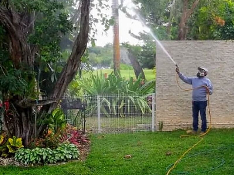 Fumigación Jardines Arica