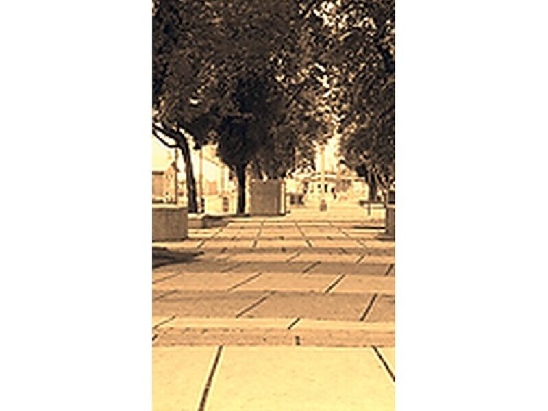 diseño arquitectónico sustenta 2