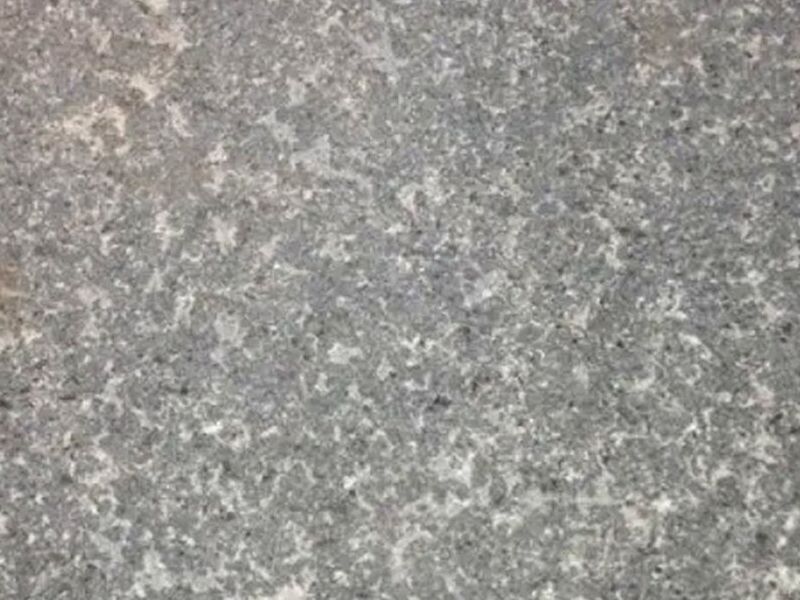 Palmeta gris Basaltos
