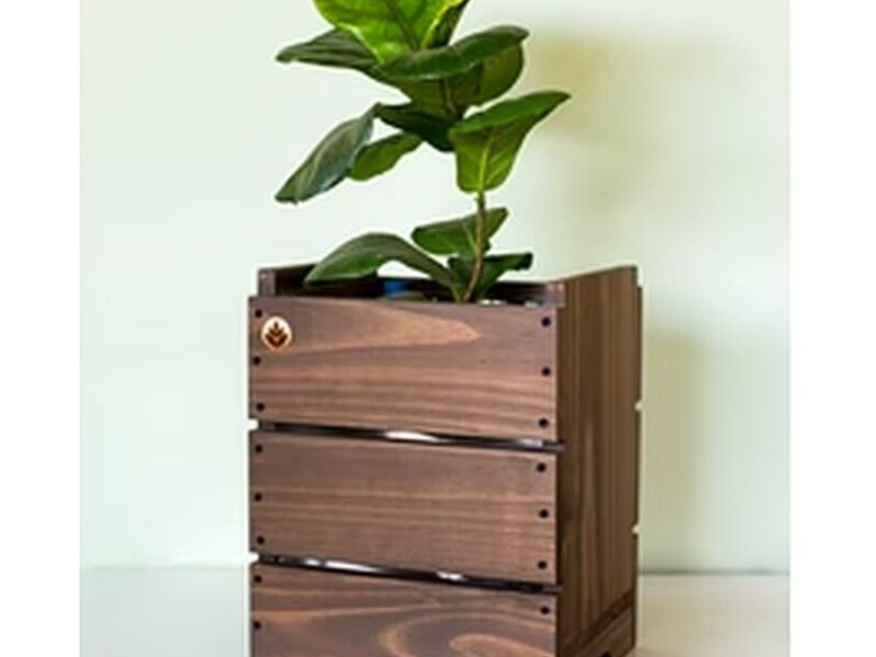 Maceta madera ecologica