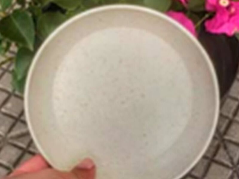 Plato maceta