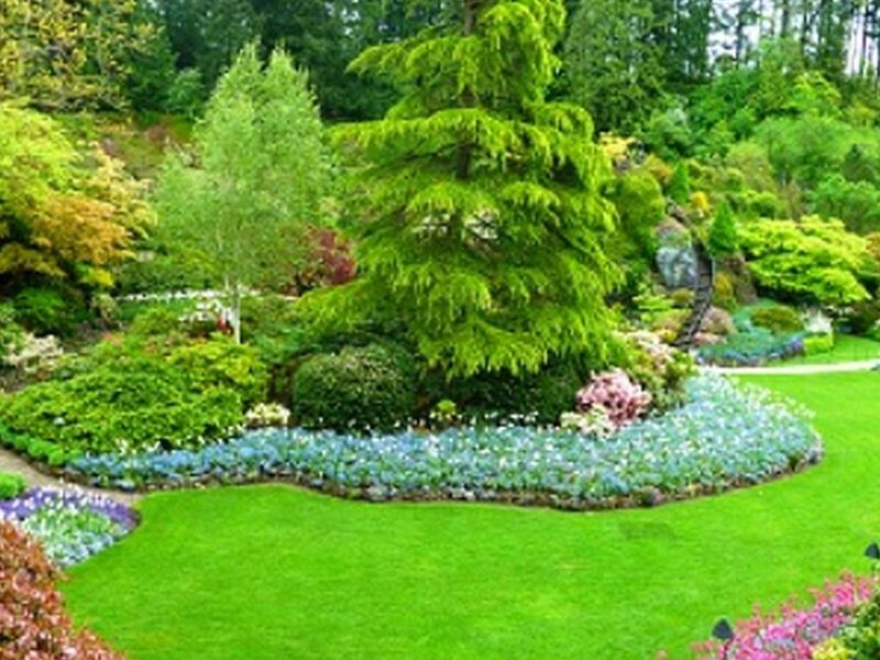 Diseño Jardines Iquique