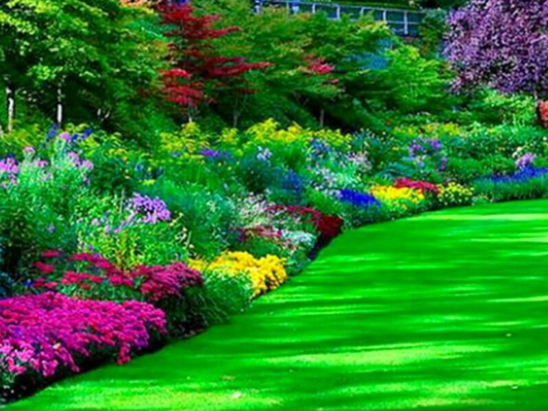 Diseño Jardines Concepción