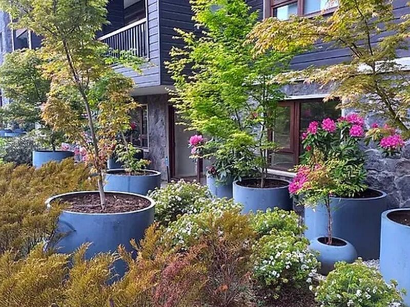 Diseño Jardines Puerto Vara
