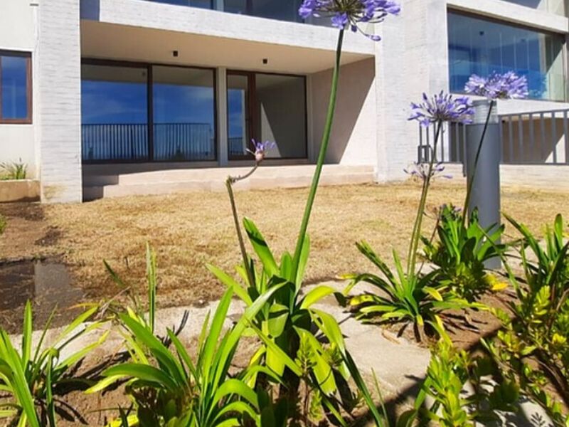 Diseño Jardines Iquique