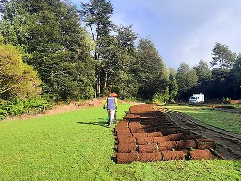 Instalación Pasto Rollo Puerto Varas